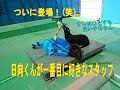 【アシカ】オレの1番のスタッフ(^^)/(伊勢シーパラダイス/水族館)