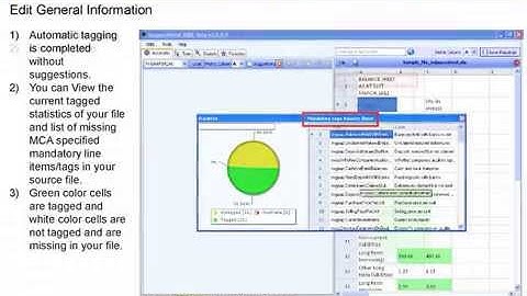 XBRL tagging and conversion tool - ResearchPoint XBRL-General Information