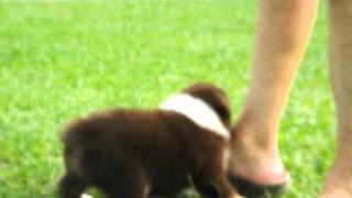 DSCF2436