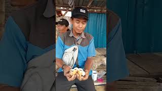 pengen ketawa tapi takut dosa meme video viral lucu ngakak