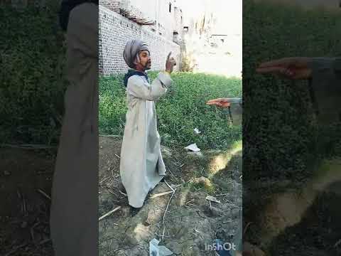 ابو شنب واحد بس الصعيدي يا دوله أسمع 