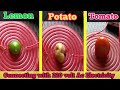 Lemon vs potato vs Tomato Directly connecting 220 volt Ac Electricity || 220 volt Electricity