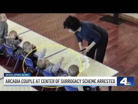 What we know about the alleged surrogacy scheme in Arcadia