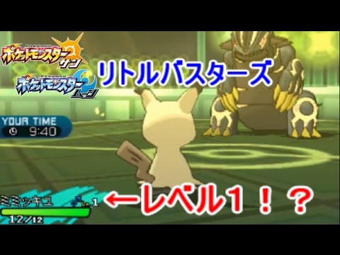 レベル１ 進化前 のポケモンを使って伝説ポケをぶっ倒す ポケモン サン ムーン Youtube