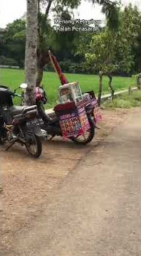 Story' wa !!!higs domino
