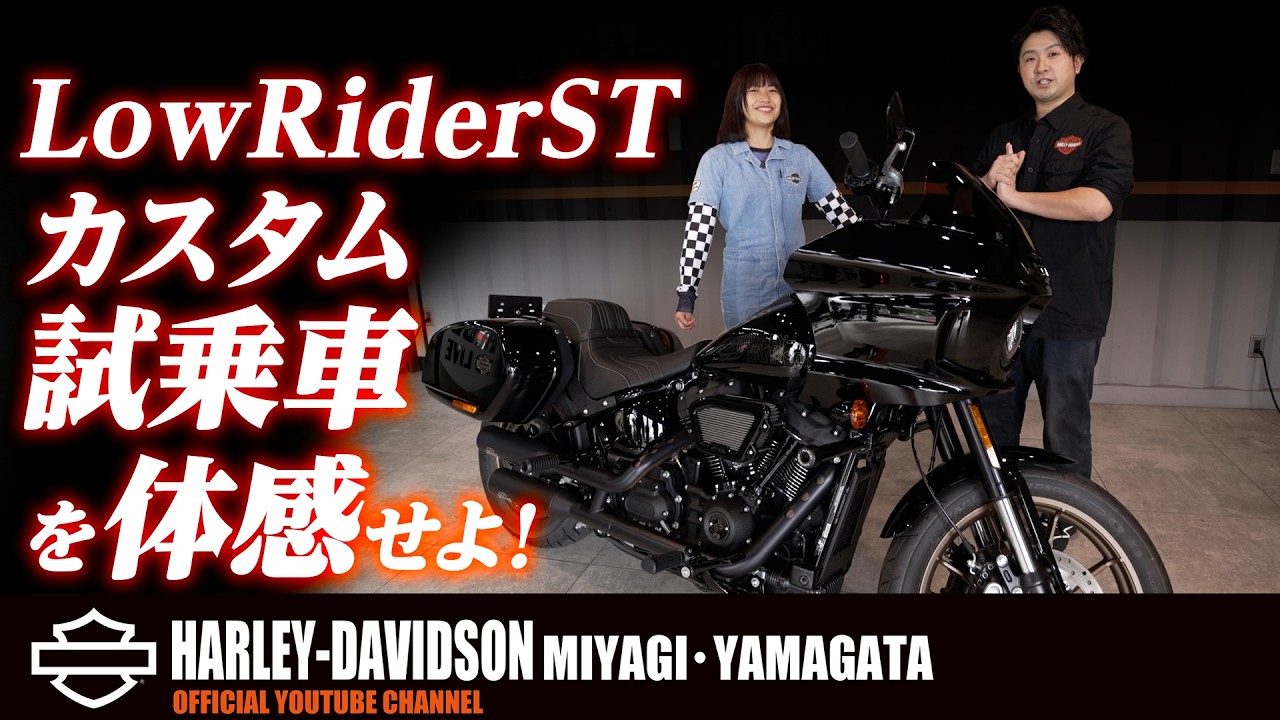 39471☆新車外し?ハーレー Harley-Davidson系☆ハーレー純正エア