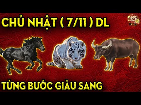 Video: Cách Tìm Ra Chủ Nhân Của Hộp Thư