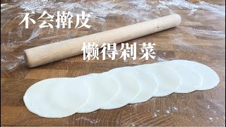 How to make dumpling wrappers by a pasta roller ? An Easy Way! 如何用厨师机/压面机做饺子？
