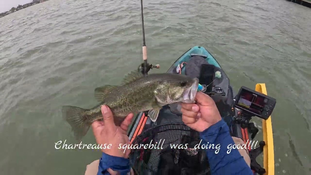 Lake LBJ: Lyndon B. Johnson Largemouth Bass Fishing. SPRING fishing SPAWNING bass- StrayCaster