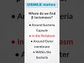 Where do we find β lactamases?