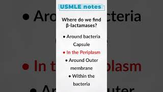 Where do we find β lactamases?