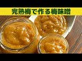 梅味噌の作り方/いろいろ使える万能調味料 完熟梅で作る梅味噌/