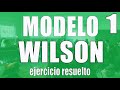 Ejercicios y ejercicios resueltos modelo de Wilson