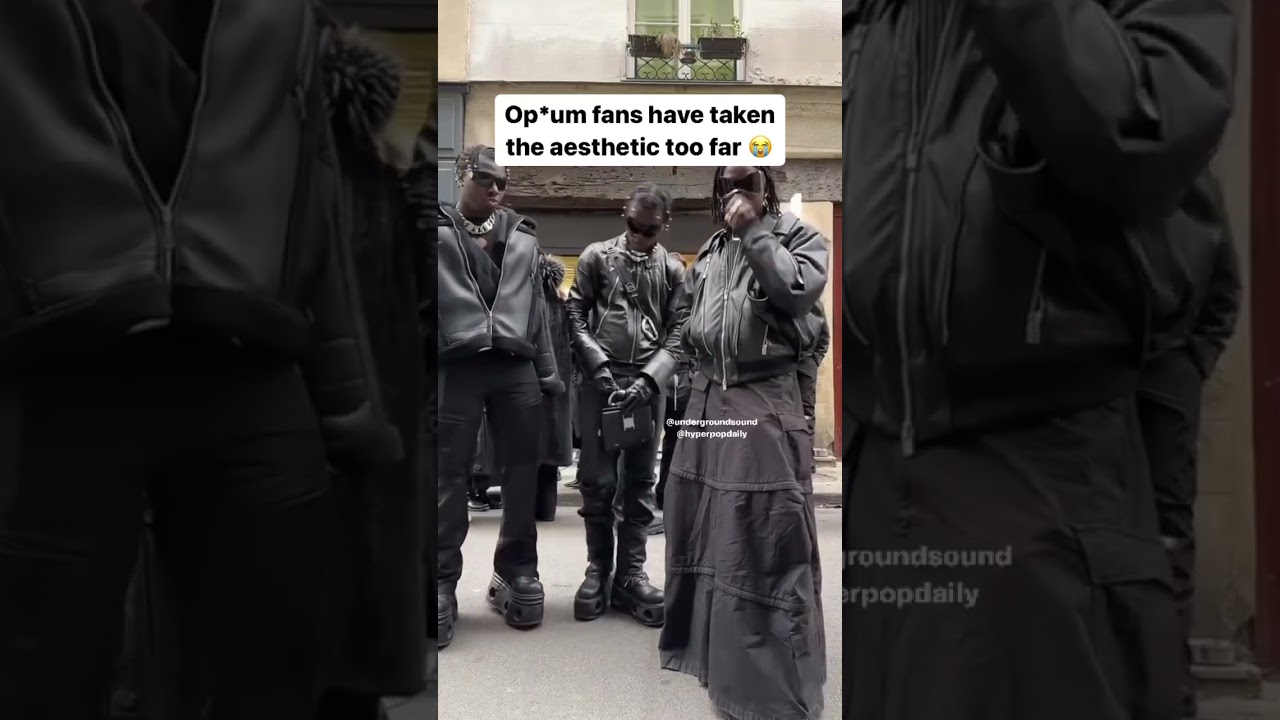 CARTI FANS TOOK THE AESTHETIC TOO FAR 😭 #playboicarti #destroylonely #kencarson