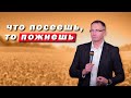 Что посеешь, то пожнёшь…| Владимир Омельчук | Церква Благодать