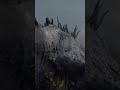 How did he kill THAT! | #aodensun on #Twitch