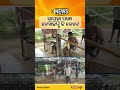 ଗାମୁଛା ପଙ୍ଖା ଦେଖିଛନ୍ତି କି କେବେ | Knews Odisha