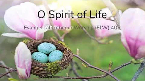 O Spirit of Life