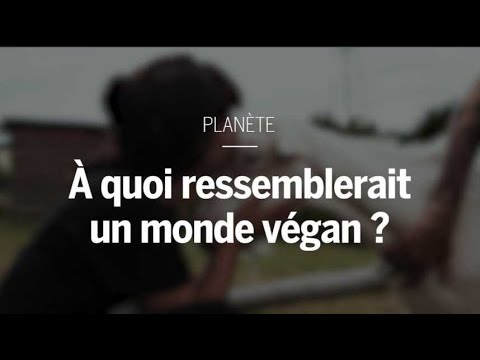 Vidéo: Maven calore est-il diabolique ?