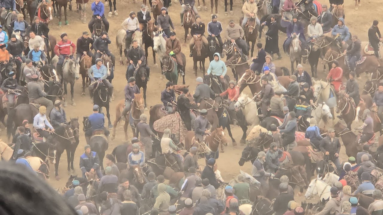 1000 DOLLAR 💵Jentira Avtomobil ZOTGA Shahrisabz Jovlon polvon Surxondaryo Chinor laqabli tulporda ya