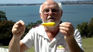 Chummer introduction