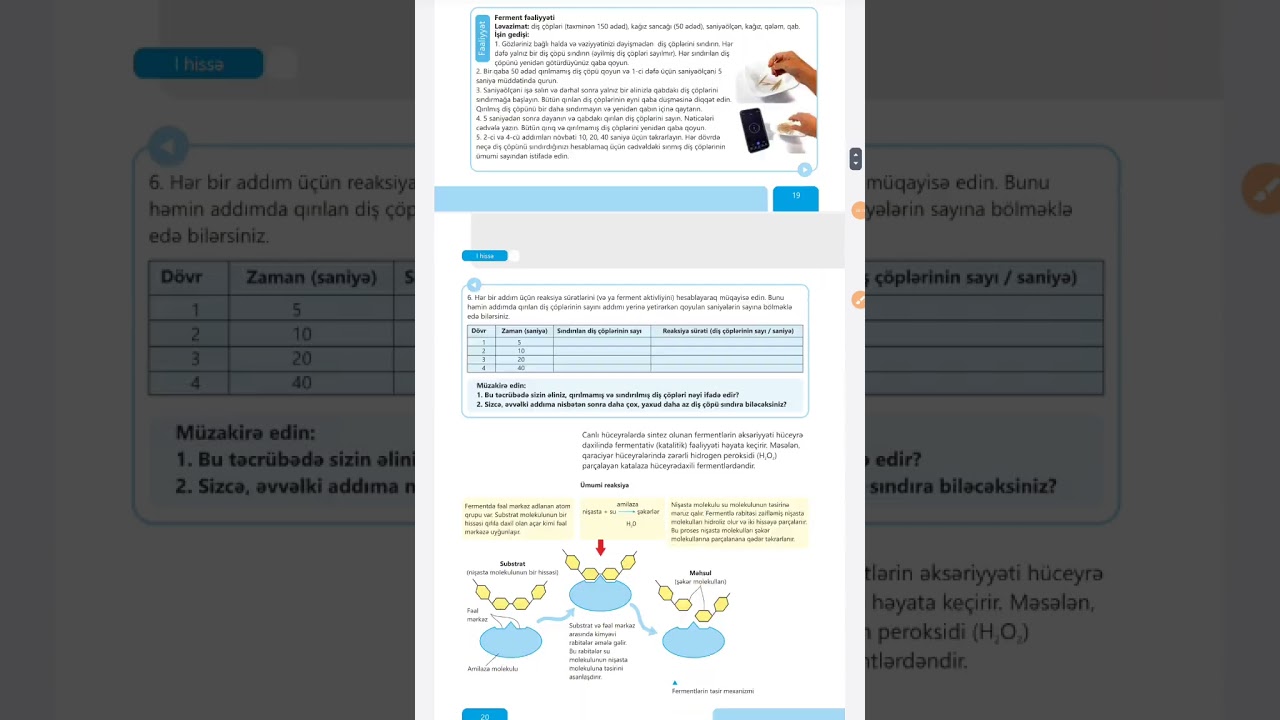8-ci sinif Biologiya yeni dərslik Fermentlər