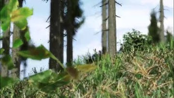 Cryengine3 Environment Test: Forest Hill