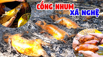 Cắm Câu Trê Vàng, Bẫy Chuột Cống Nhum Chiên Xả Nghệ