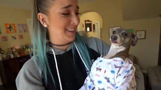kermit has flashbacks, again (meme)