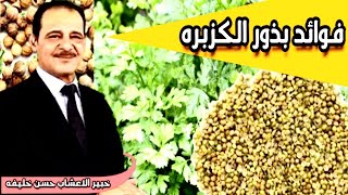 السكري - اضطرابات الدوره الشهريه - نصائح مهمه  مع خبير الاعشاب حسن خليفه