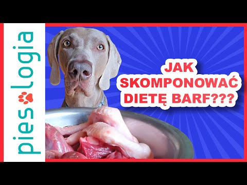 Jak skomponować dietę BARF dla psa?