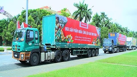 Xúc tiến thương mại hỗ trợ hiệu quả Tỉnh Hưng Yên tiêu thụ nhãn lồng và nông sản sạch 2022