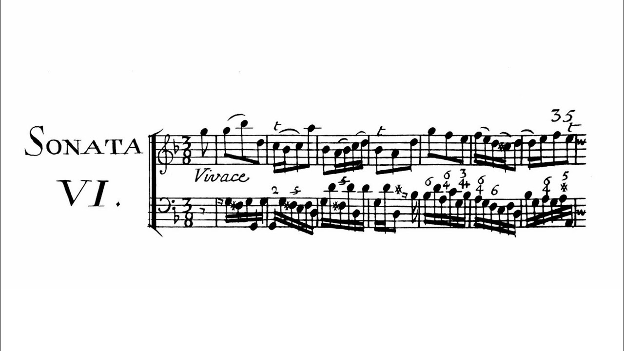 Nicolas Chèdeville - Sonata No. 6, Il Pastor Fido played on the