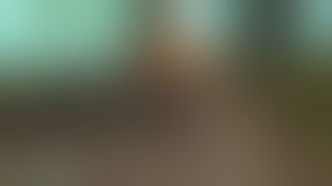 The Idiots of Lsrcr 4 [rain22]