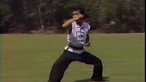 gung jee fook fu kuen