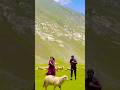 Uff this sukoon❤️🥀#shorts #kashmirexpress #mountains #love #nature #trendingshorts #fyp #ytshorts