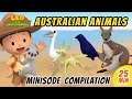 Australian animals minisode compilation  leo the wildlife ranger  animation  for kids