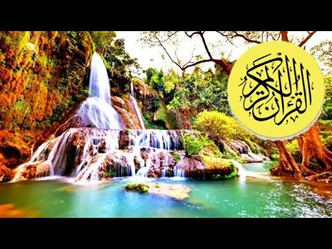 BACKGROUND VIDEO - BEBAS UNDUH 🟤(QS. Az-Zumar 39: Ayat 73-75) 🟤 Background DIDESKRIPSI 🟤