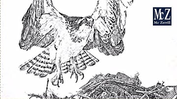 Gimp Tutorial - Effetto disegno bianco e nero