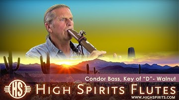 Condor Bass, Key of "D" - Walnut