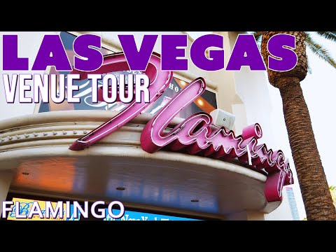 馃敶 LIVE Slots at Agua Caliente 馃帴馃幇 Line it UP!! #ad