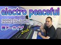 【髭アーカイブ2nd】electro peaceful【2020 Re:build】