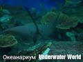 Океанариум  Underwater World