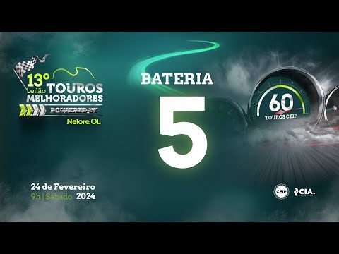 Bateria 5 - 13º Leilão de Touros Melhoradores Nelore OL - Edição Virtual