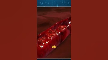 "Revolutionary Breakthrough: First AI Powered by Human Brain Cells Unveiled!"