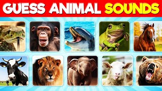 Can You Guess the Animal by the Sound? | Animal Sounds Quiz by The Quiz Show 9,916 views 1 month ago 12 minutes, 17 seconds