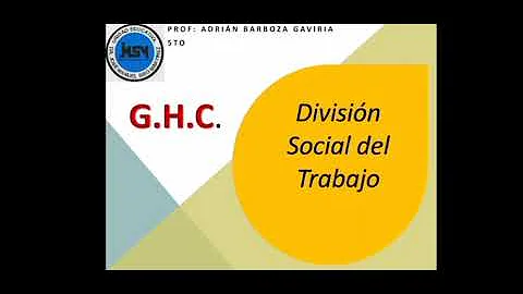 ¿Cómo es la división social del trabajo?