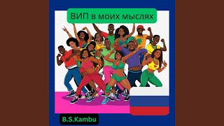 VIP in my mind - B S Kambu