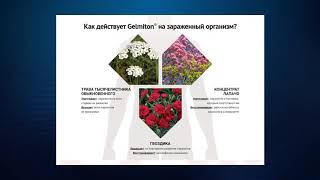 Гельмитон - отзывы