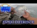 PESCAMOS UN PEZ DIFERENTE #pescadeportiva #elespigondesiempre